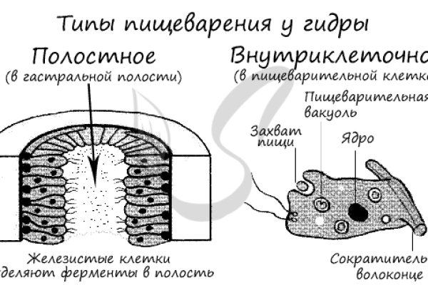 Найти ссылку кракен
