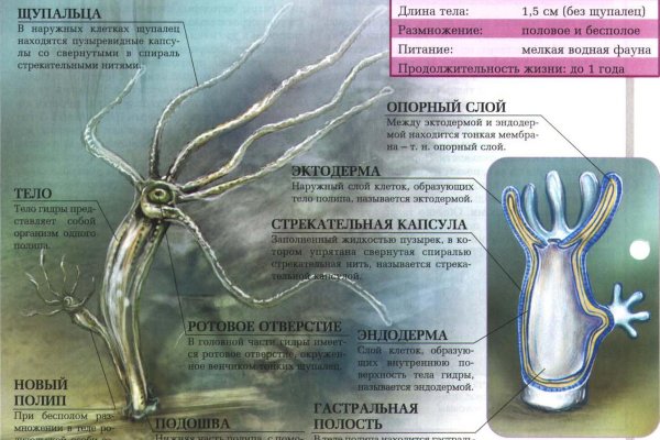 Кракен официальный сайт