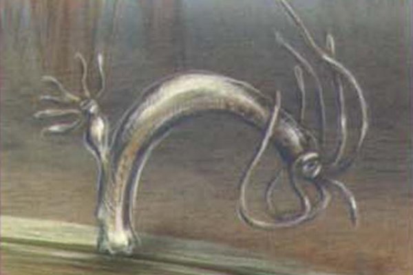 Кракен 16