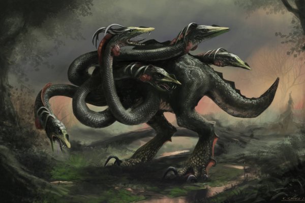 Kraken whitenet market зеркало